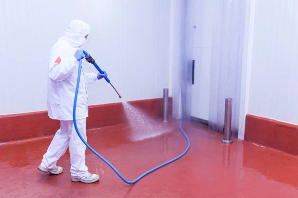 Paint Preparation in Decherd, TN