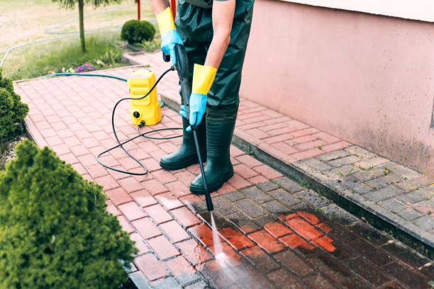 Best Roof Washing  in Decherd, TN